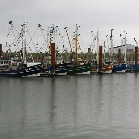 Salt Marshes * Reken