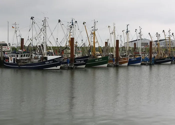 Salt Marshes * Reken